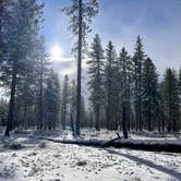 Review photo of NF-70 Dispersed Camping Near Crater Lake NP by Aliza  N., October 26, 2022