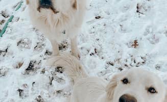 James W.'s photo of camping with pets at The Garden near Beltsville, MD