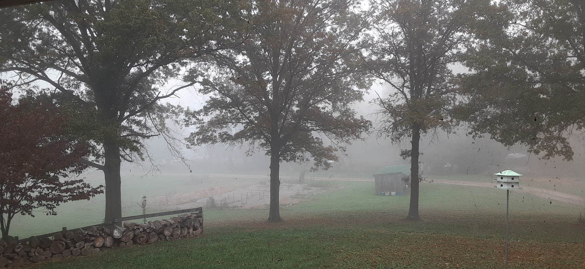 Camper-submitted photo at The Garden near Mount Airy, MD