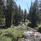 Review photo of Upper Lyell Canyon Footbridge Backcountry Campsite — Yosemite National Park by Dave V., September 11, 2018