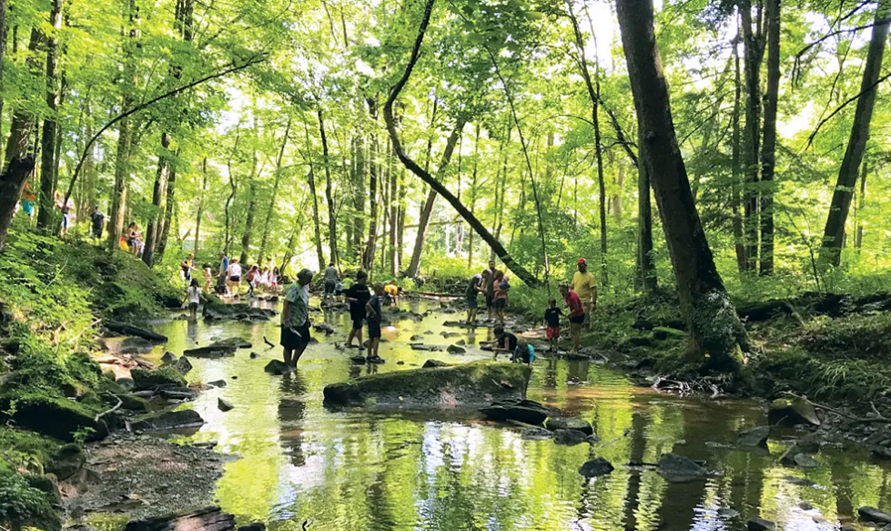 Camper-submitted photo at Rose Point Park Cabins & Camping near Slippery Rock, PA