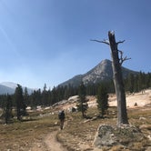 Review photo of Upper Lyell Canyon Footbridge Backcountry Campsite — Yosemite National Park by Dave V., September 11, 2018