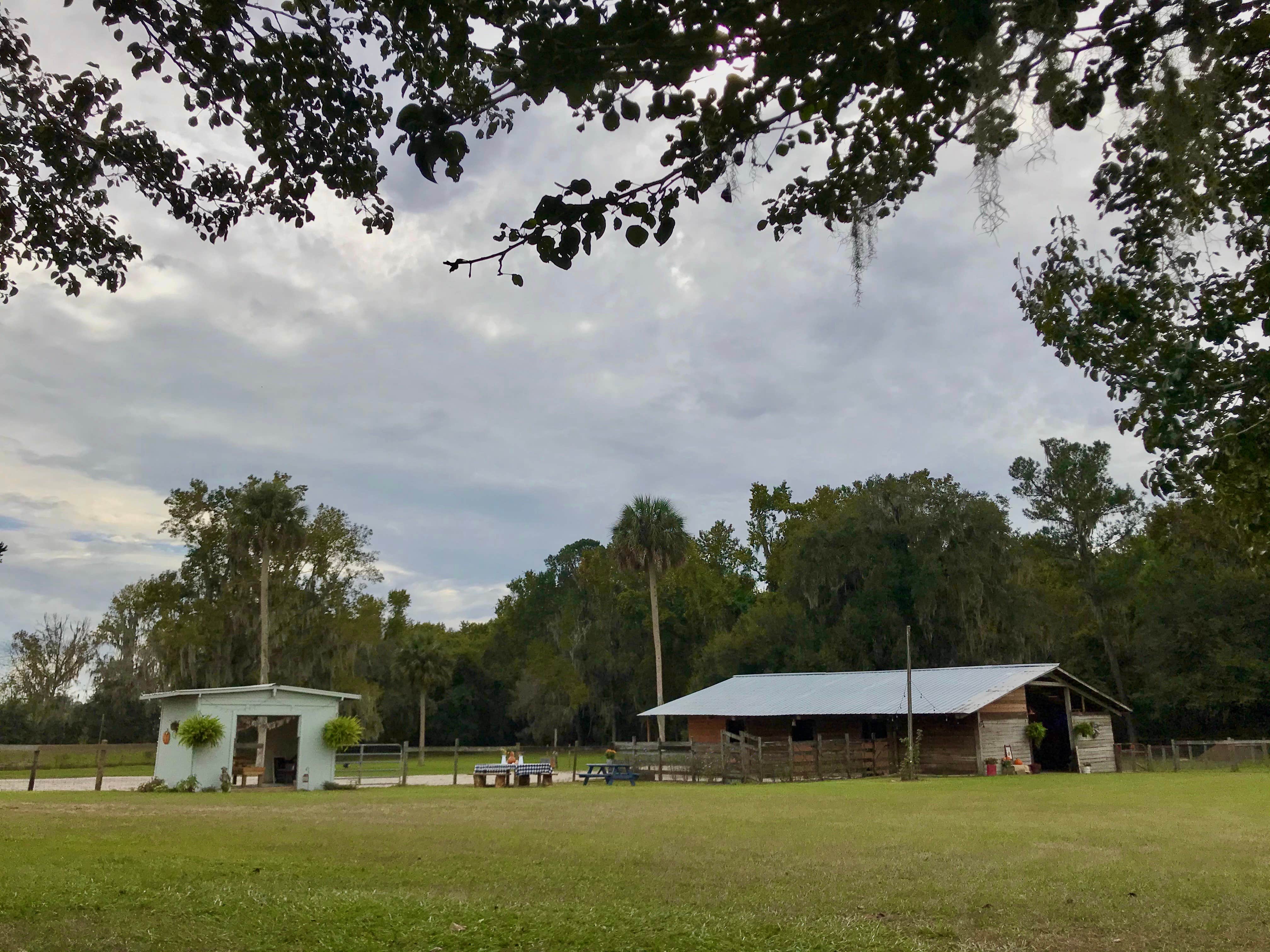 Camper-submitted photo at Collins Farm near Florahome, FL