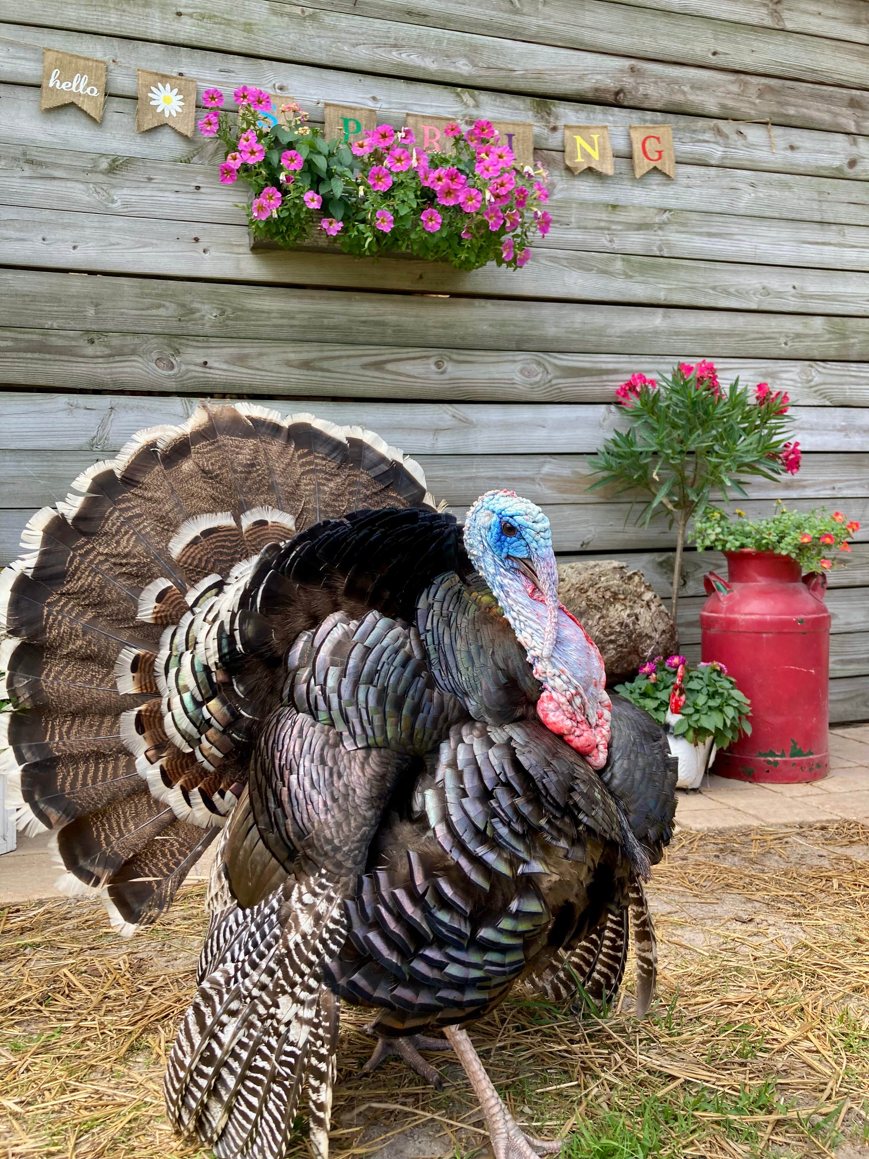 Camper-submitted photo at Collins Farm near Florahome, FL