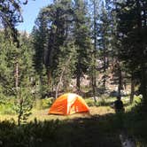 Review photo of Upper Lyell Canyon Footbridge Backcountry Campsite — Yosemite National Park by Dave V., September 11, 2018