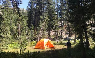 Dave V.'s photo of tent camping at Upper Lyell Canyon Footbridge Backcountry Campsite — Yosemite National Park near Mather, CA