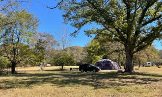 Camping near Clear Creek - Ozark Lake (AR): Twin Creeks RV Park, Mountainburg, Arkansas