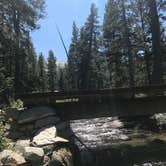 Review photo of Upper Lyell Canyon Footbridge Backcountry Campsite — Yosemite National Park by Dave V., September 11, 2018