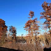 Review photo of Horseshoe Lake Alexander County by Tod S., October 27, 2022