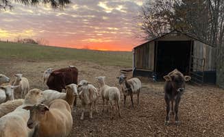 James W.'s photo of camping with pets at The Garden near Braddock Heights, MD