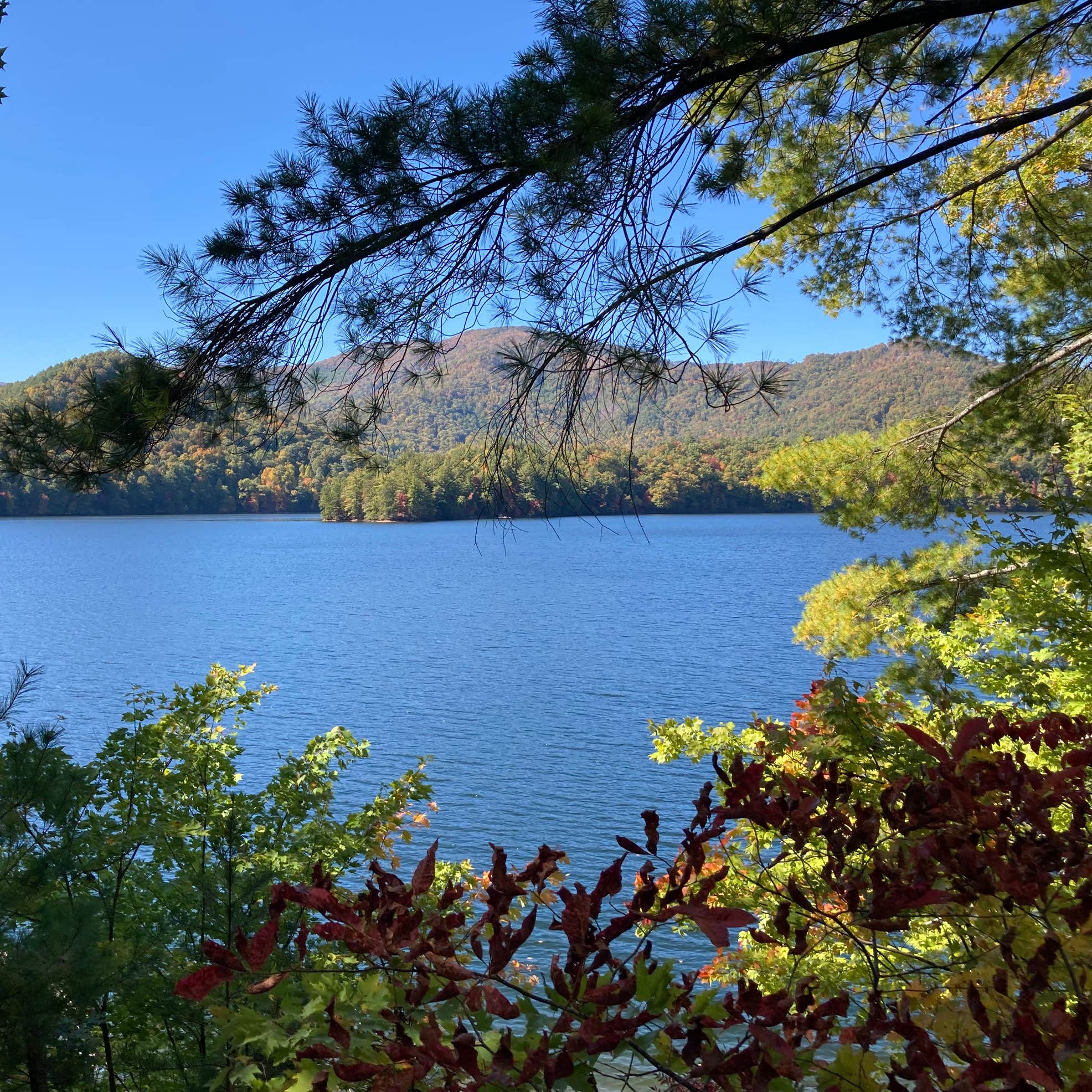 Cheoah Point Campground Robbinsville Nc