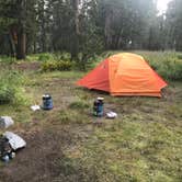 Review photo of Upper Lyell Canyon Footbridge Backcountry Campsite — Yosemite National Park by Dave V., September 11, 2018