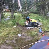 Review photo of Upper Lyell Canyon Footbridge Backcountry Campsite — Yosemite National Park by Dave V., September 11, 2018