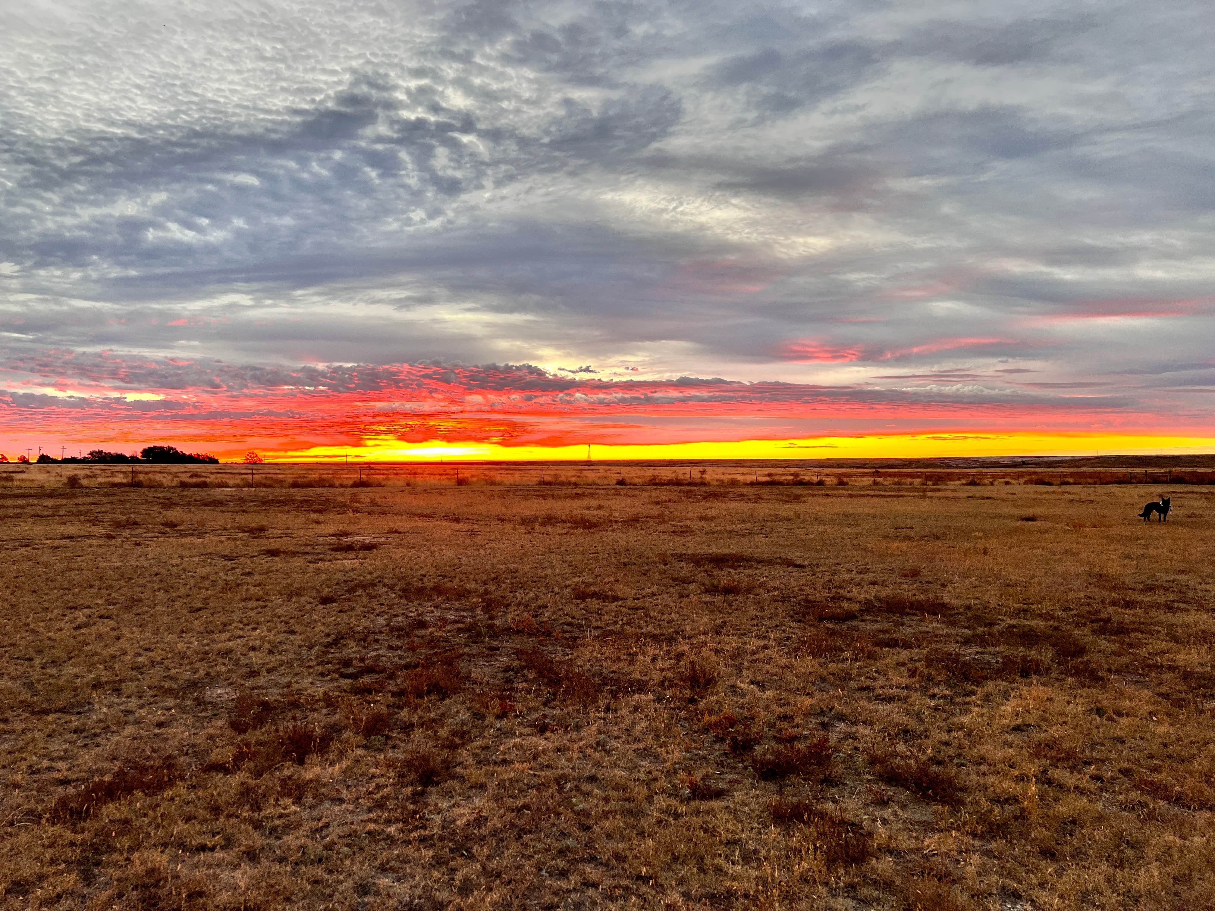 Camper-submitted photo at Felt Picnic Area near Boise City, OK