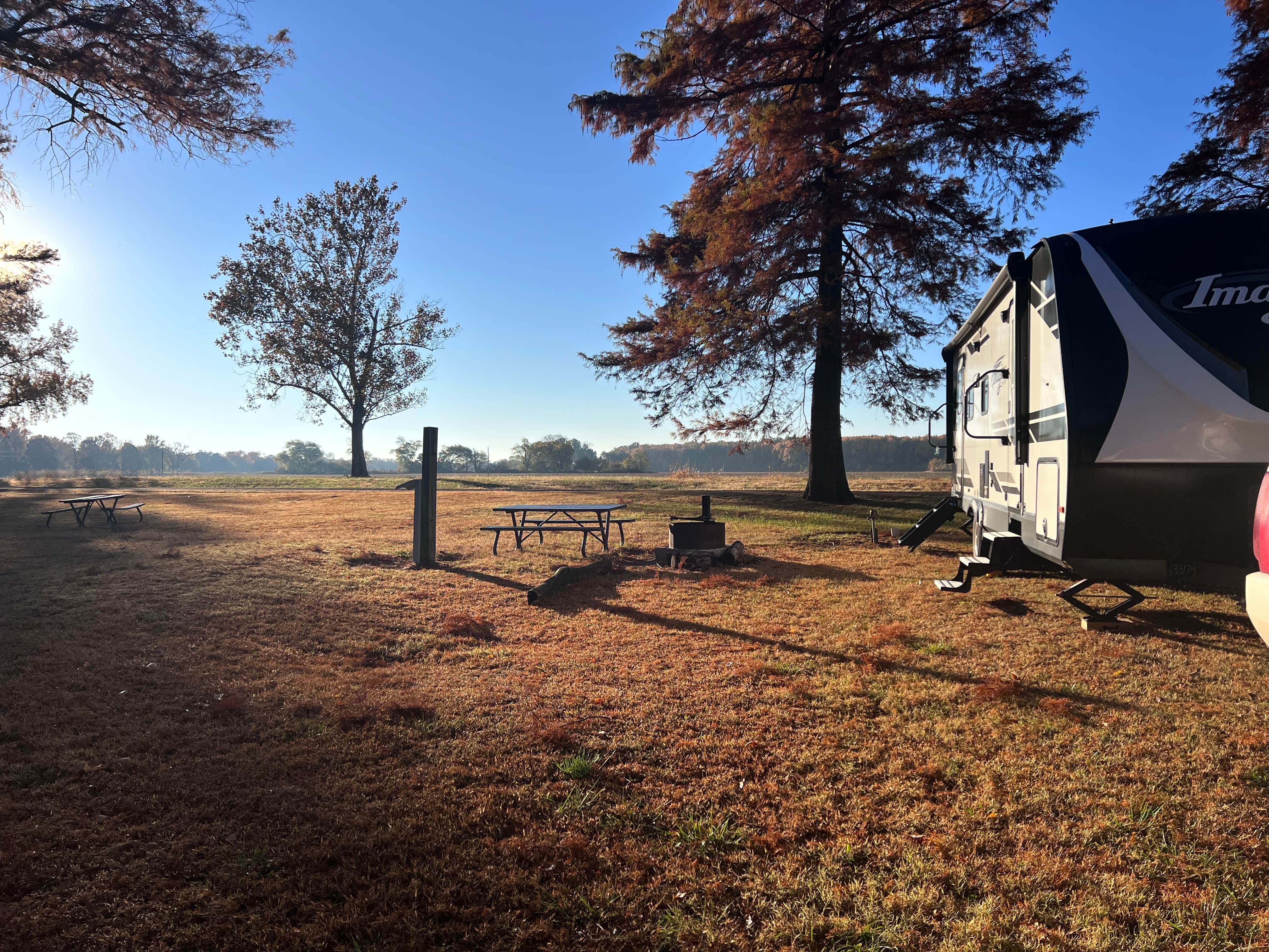 Camper submitted image from Horseshoe Lake Alexander County - 5
