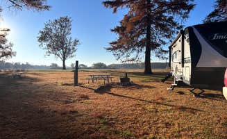 Tod S.'s photo at Horseshoe Lake Alexander County near Benton, MO