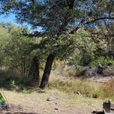 Review photo of Davis Mountains State Park Campground by Rick G., October 27, 2022