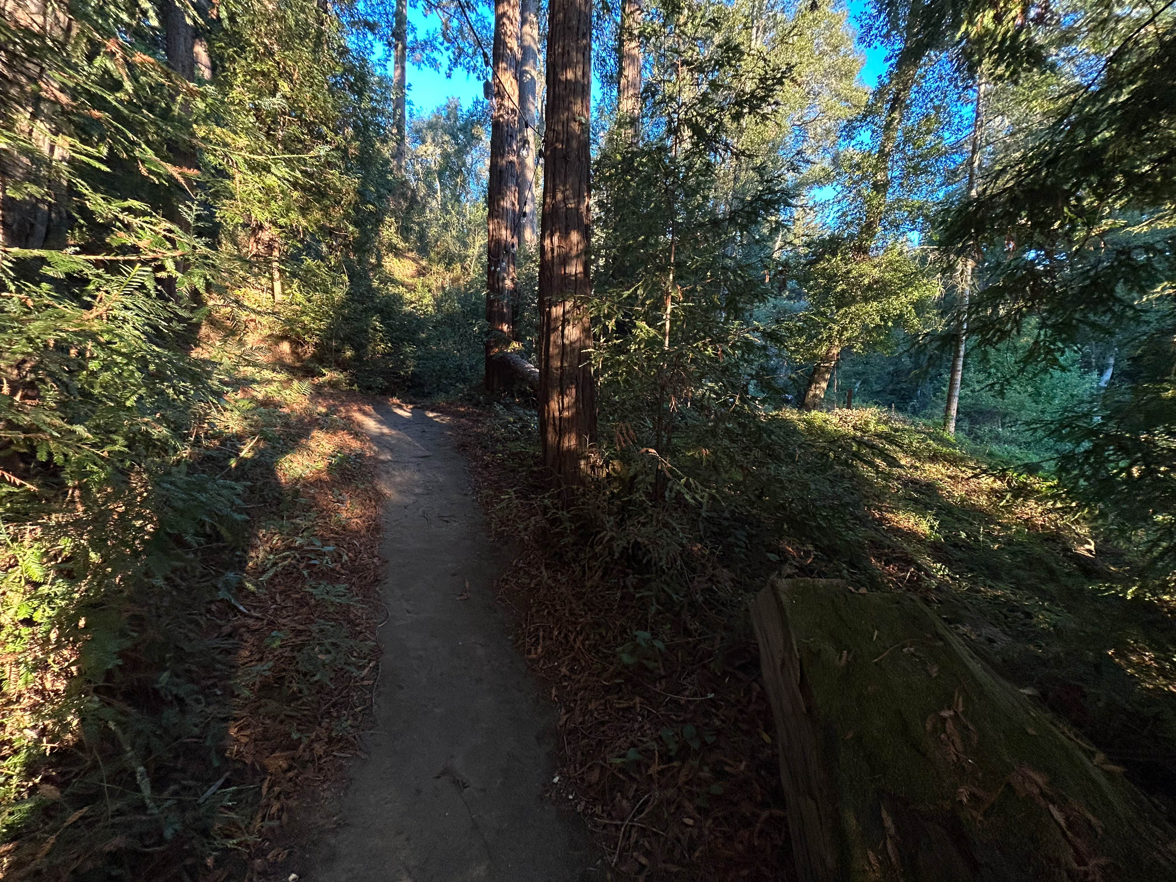 Camper submitted image from Fern Ridge Flats - 2