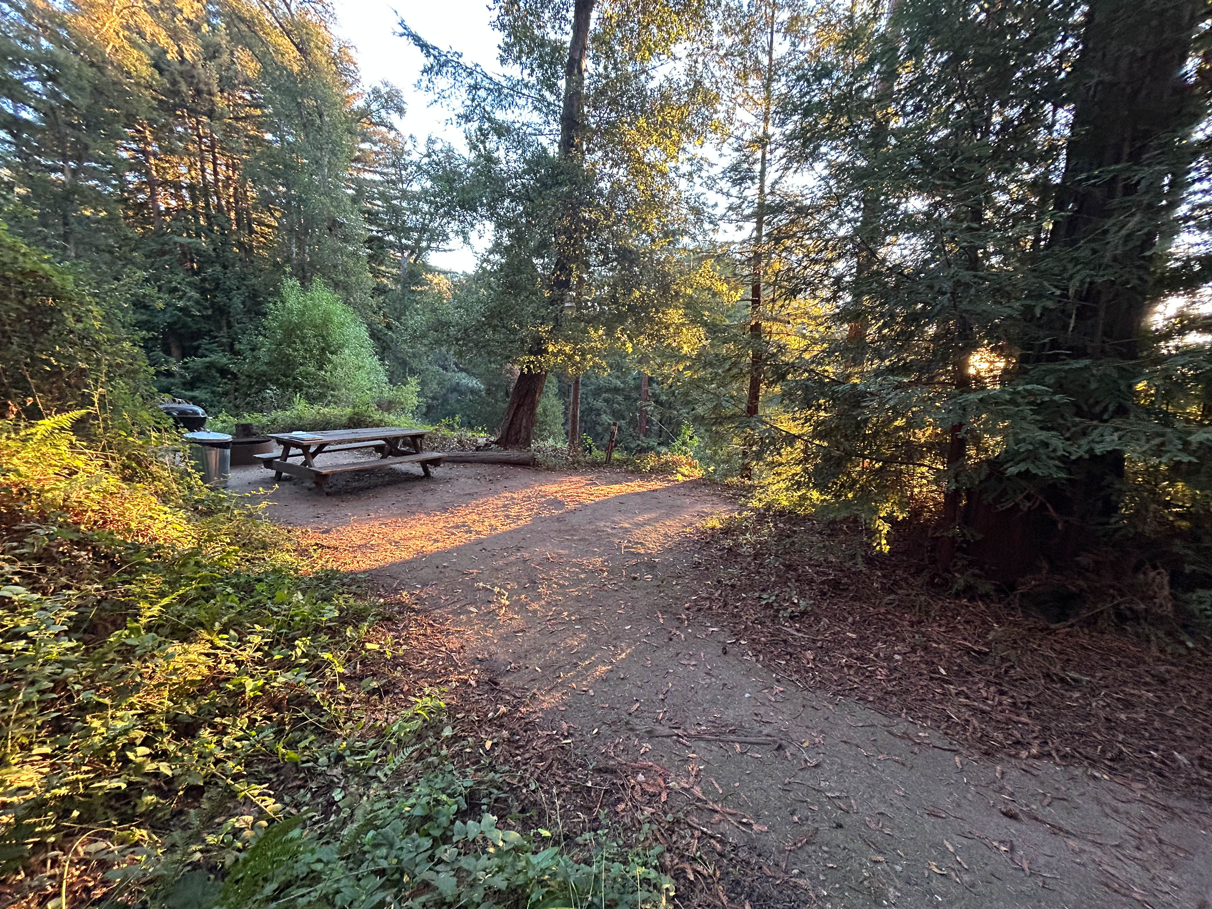 Camper submitted image from Fern Ridge Flats - 1