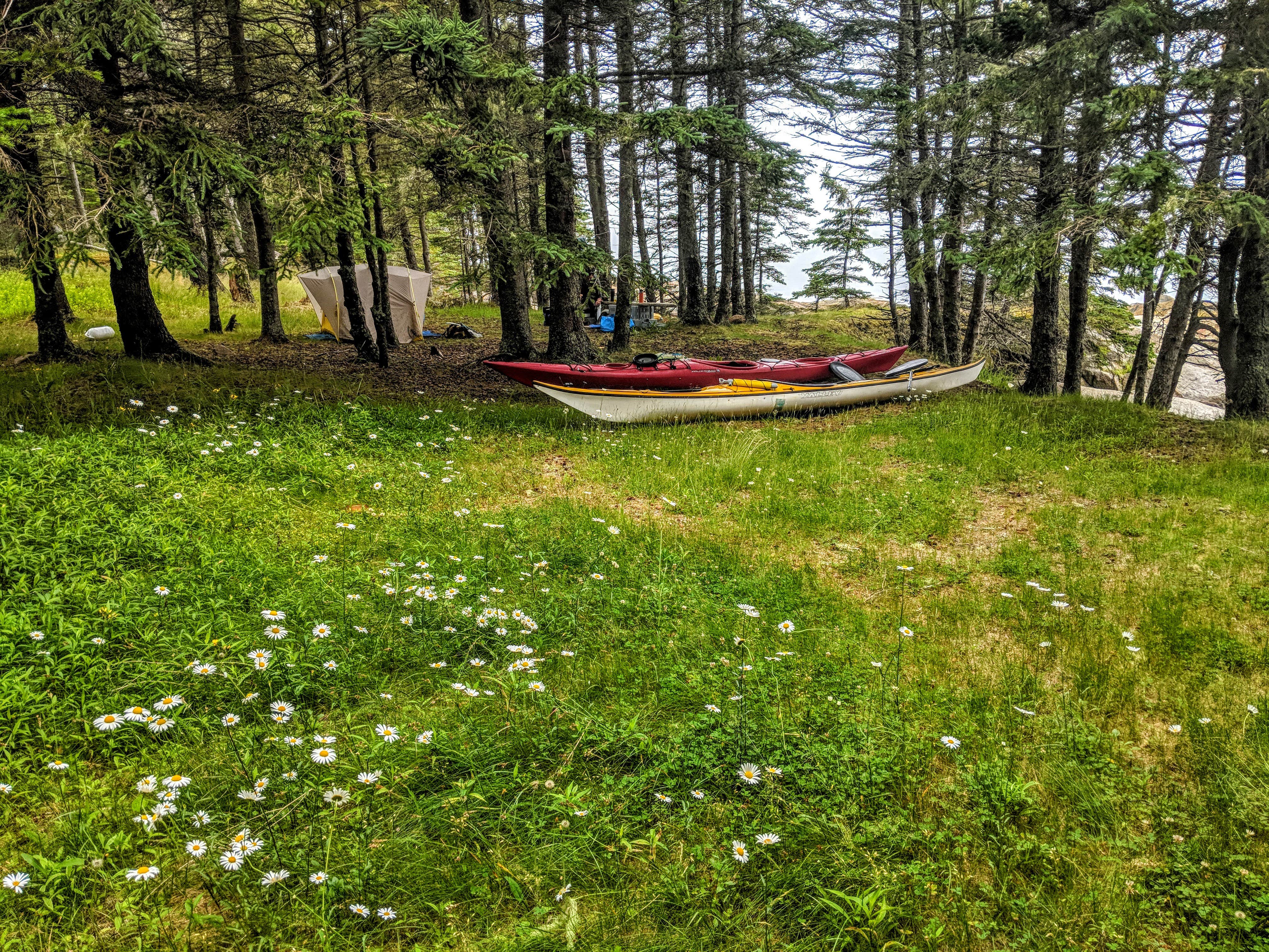 Camper submitted image from Saddleback Island - 5