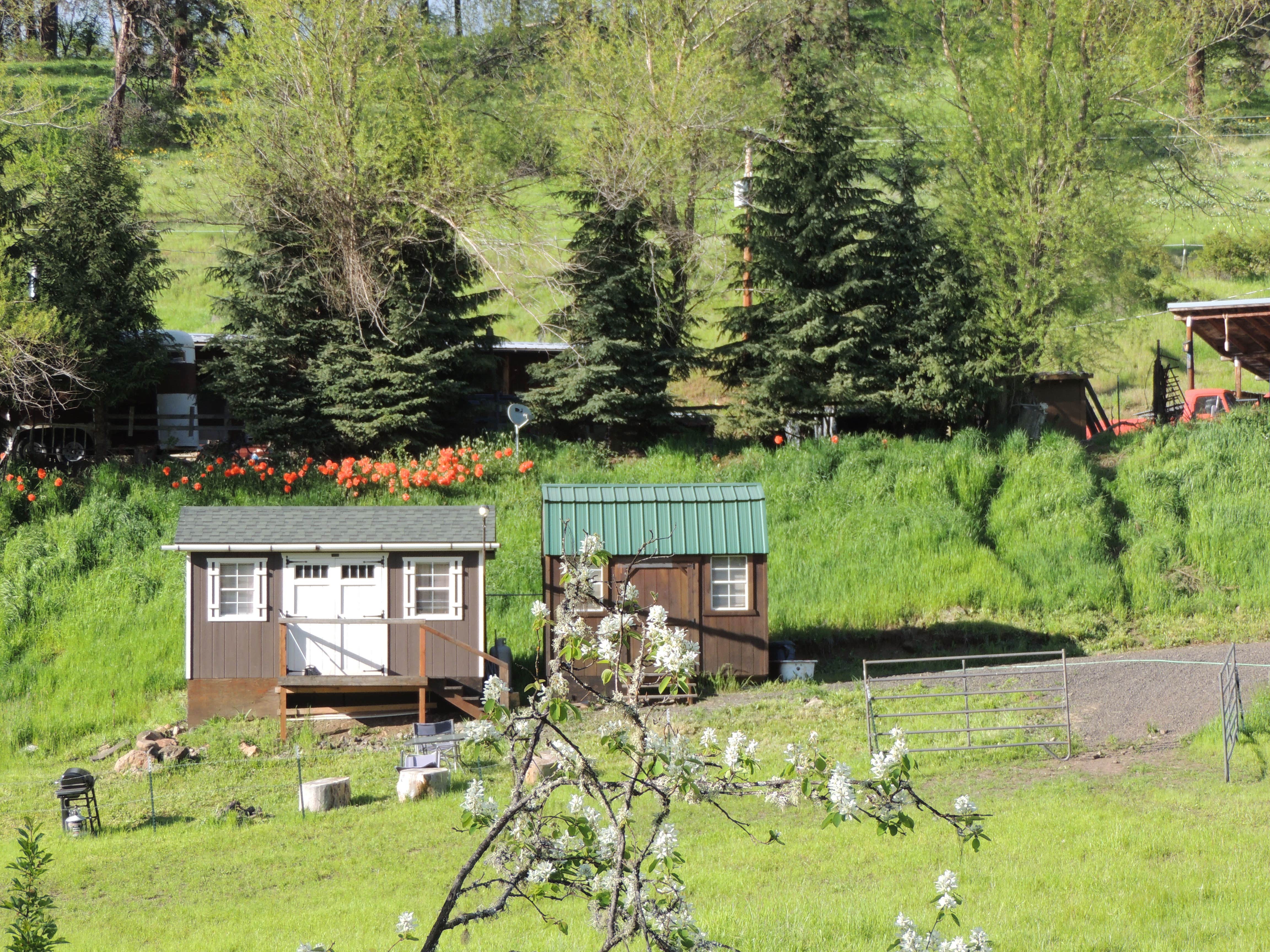 Camping near Meadow Creek Campground: Off the Beaten Path Idaho, Grangeville, Idaho