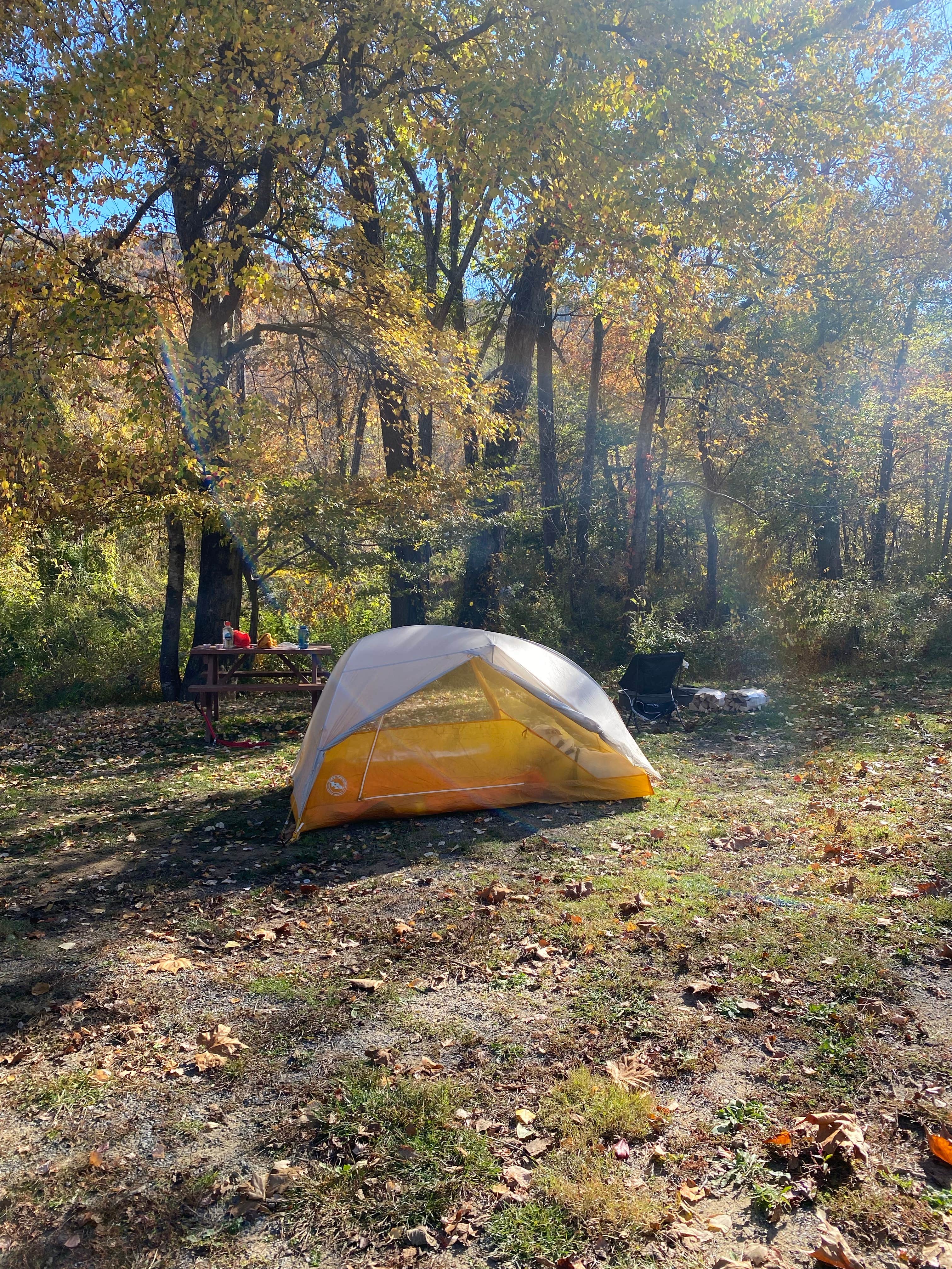 Angie G.'s photo at Asheville East KOA near Gerton, NC