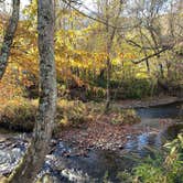 Review photo of Asheville East KOA by Angie G., October 27, 2022