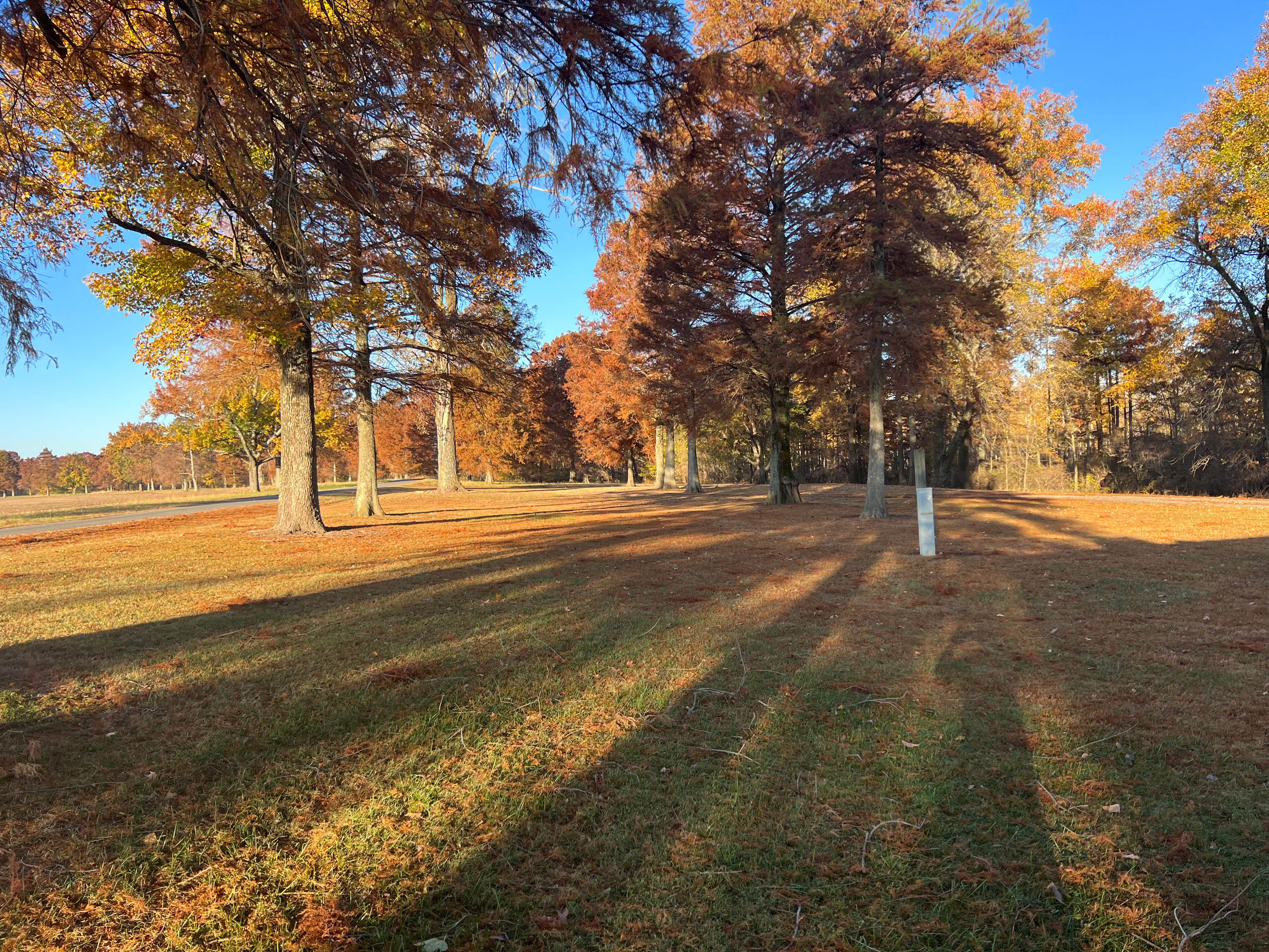 Camper-submitted photo at Horseshoe Lake Alexander County near Cape Girardeau, MO