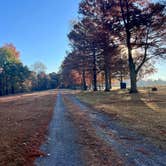 Review photo of Horseshoe Lake Alexander County by Tod S., October 27, 2022