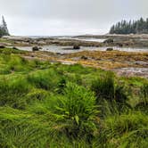 Review photo of Saddleback Island by Shari  G., September 11, 2018