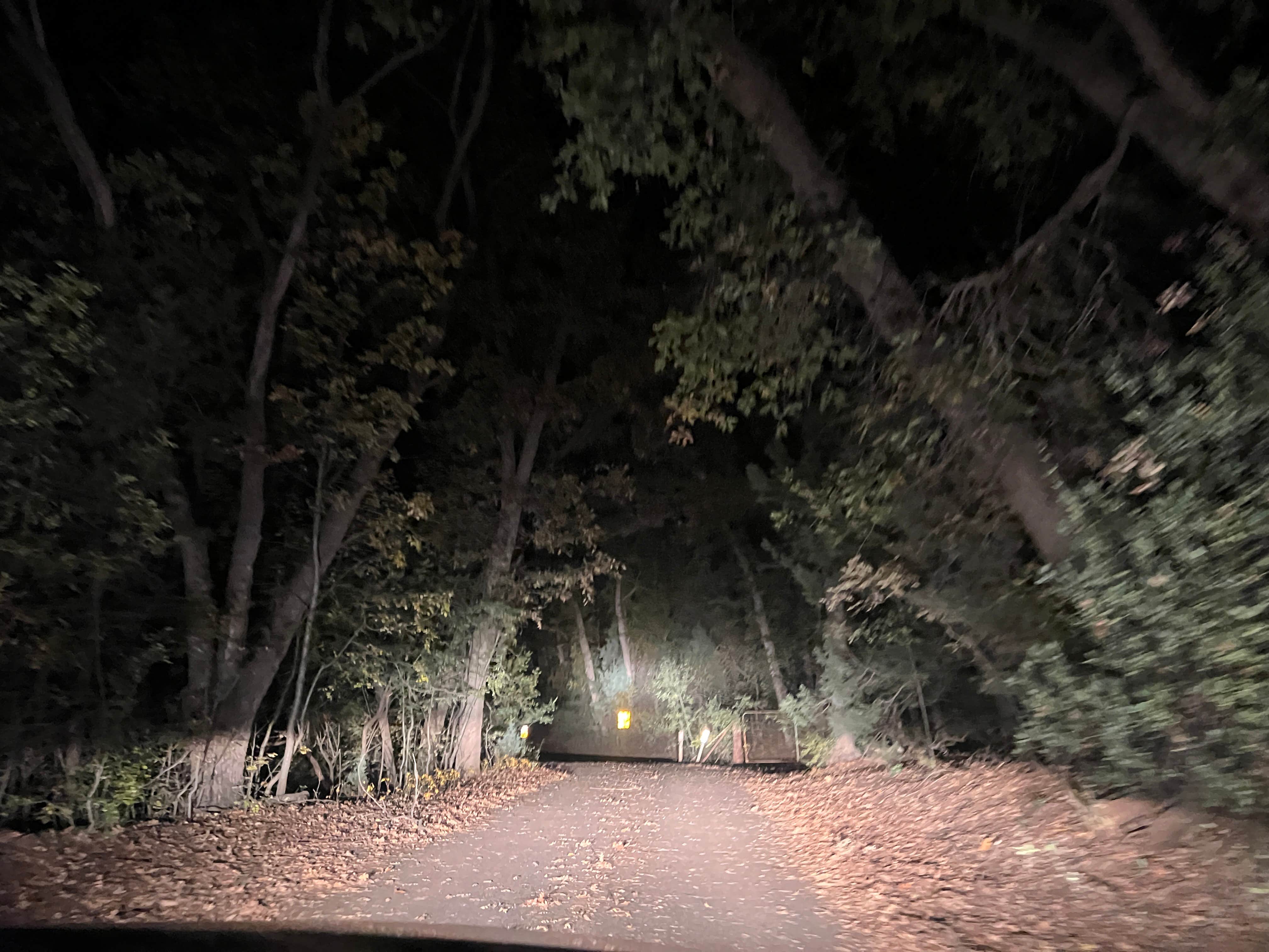 Camper-submitted photo at Apache National Forest - Dispersed Site near Morenci, AZ