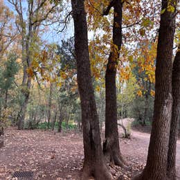 Apache National Forest - Dispersed Site