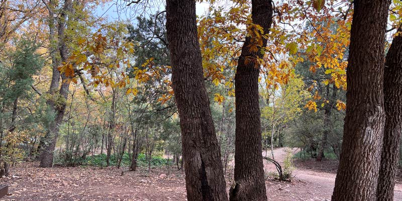 Camper submitted image from Apache National Forest - Dispersed Site