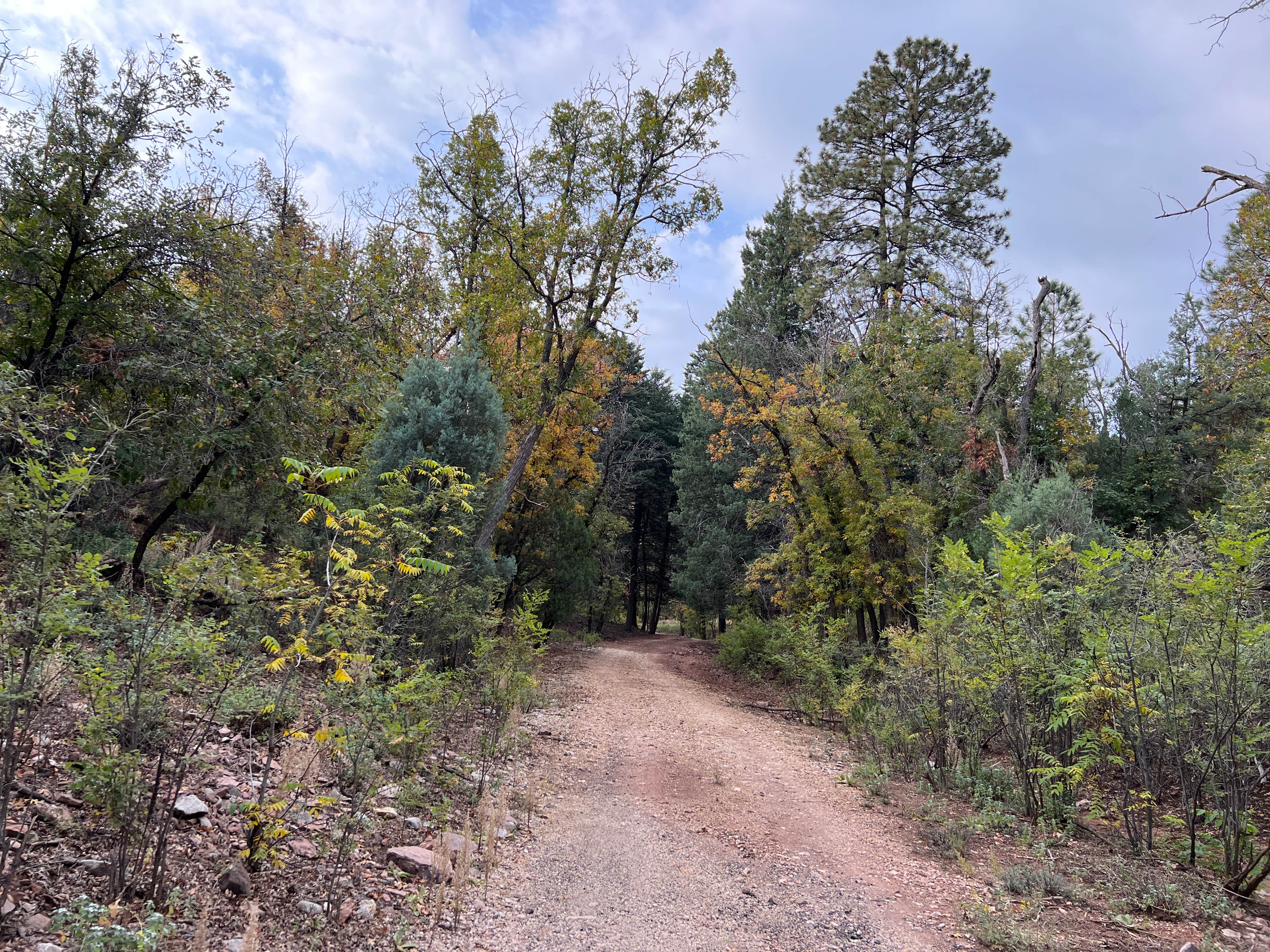 Camper-submitted photo at Apache National Forest - Dispersed Site near Morenci, AZ