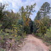 Review photo of Apache National Forest - Dispersed Site by April S., October 27, 2022