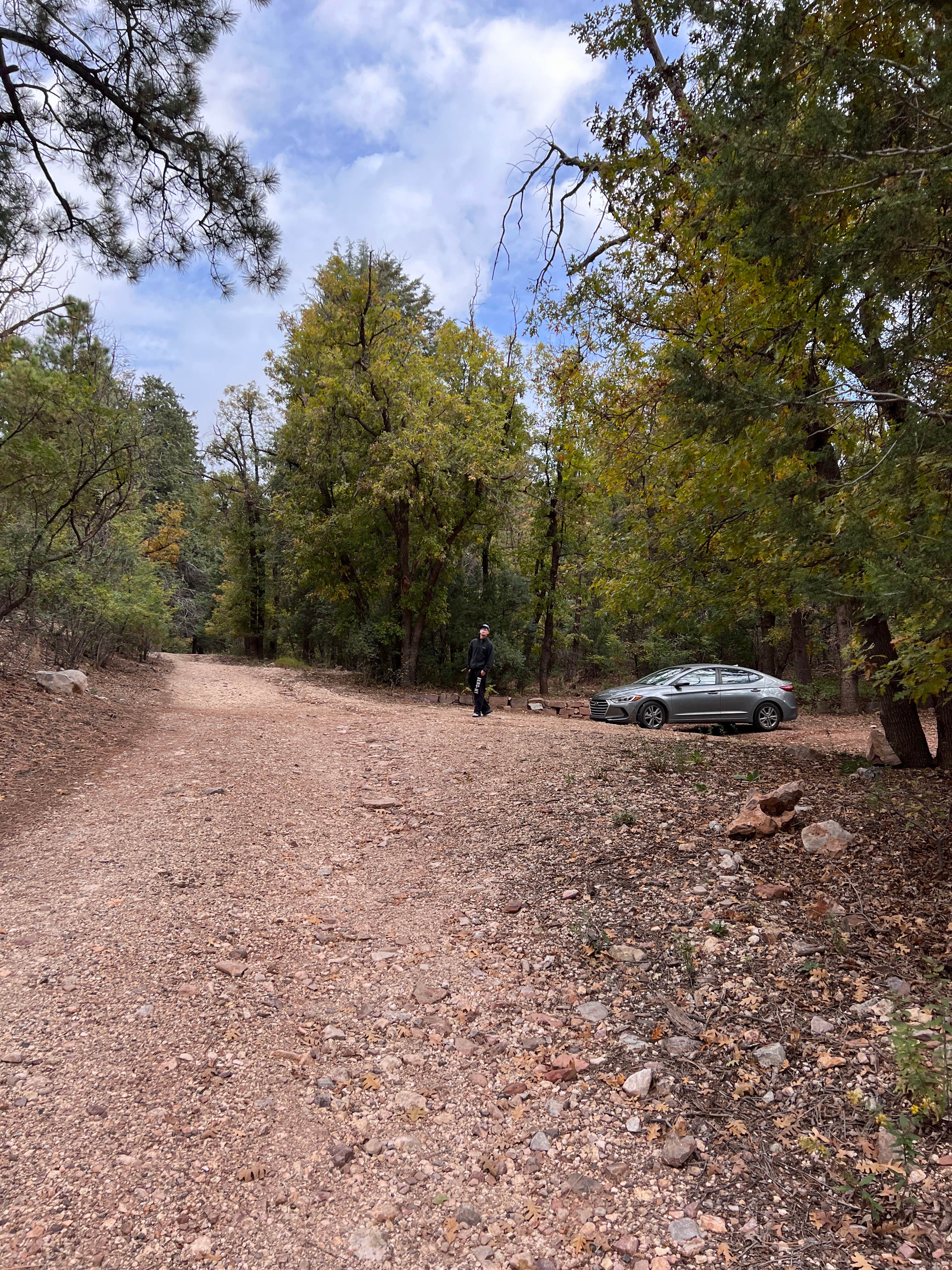 Camper submitted image from Apache National Forest - Dispersed Site - 4