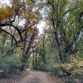 Review photo of Apache National Forest - Dispersed Site by April S., October 27, 2022