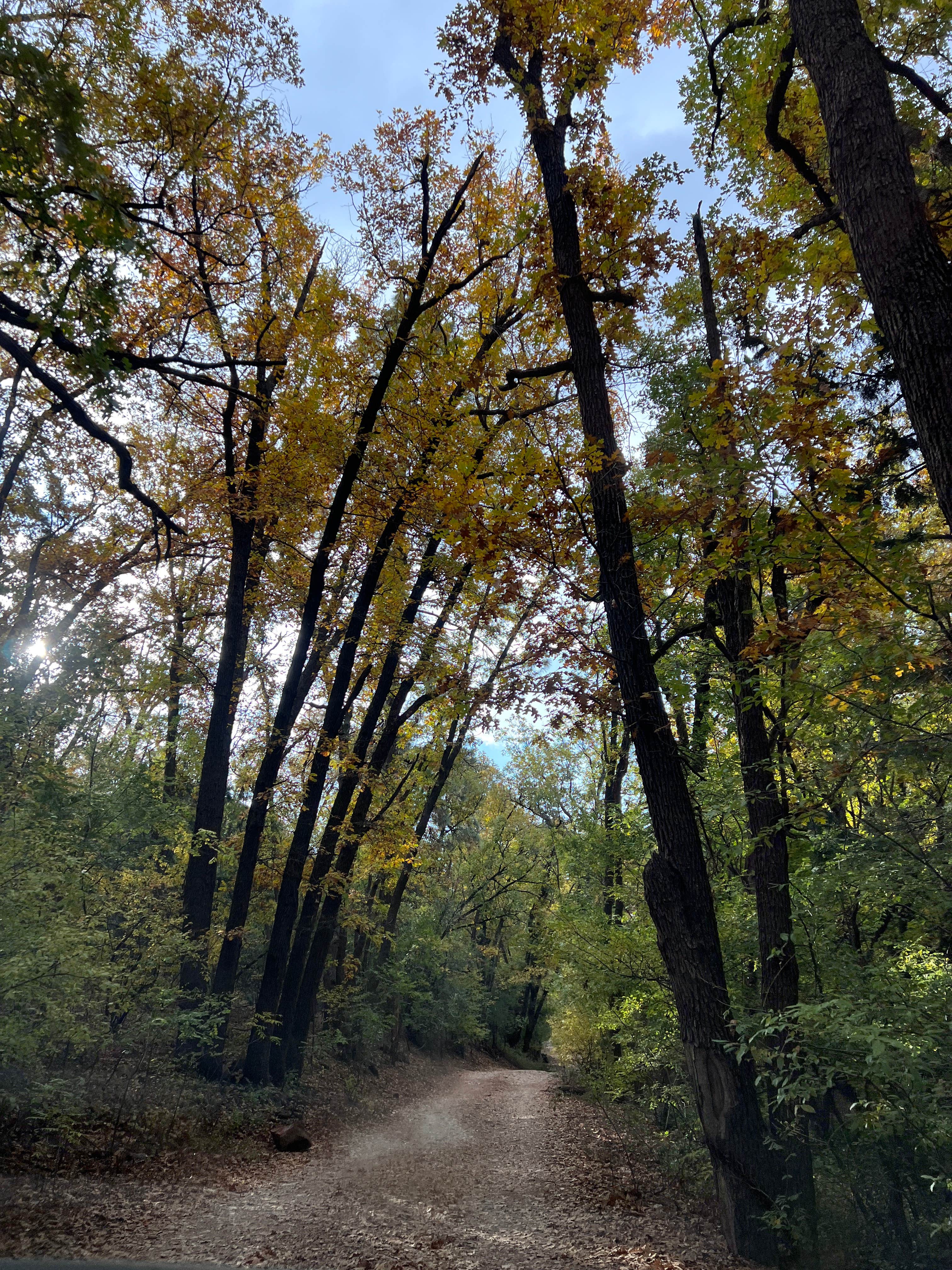 Camper-submitted photo at Apache National Forest - Dispersed Site near Morenci, AZ