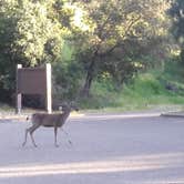 Review photo of Lopez Lake Recreation Area by Ariya B., October 27, 2022