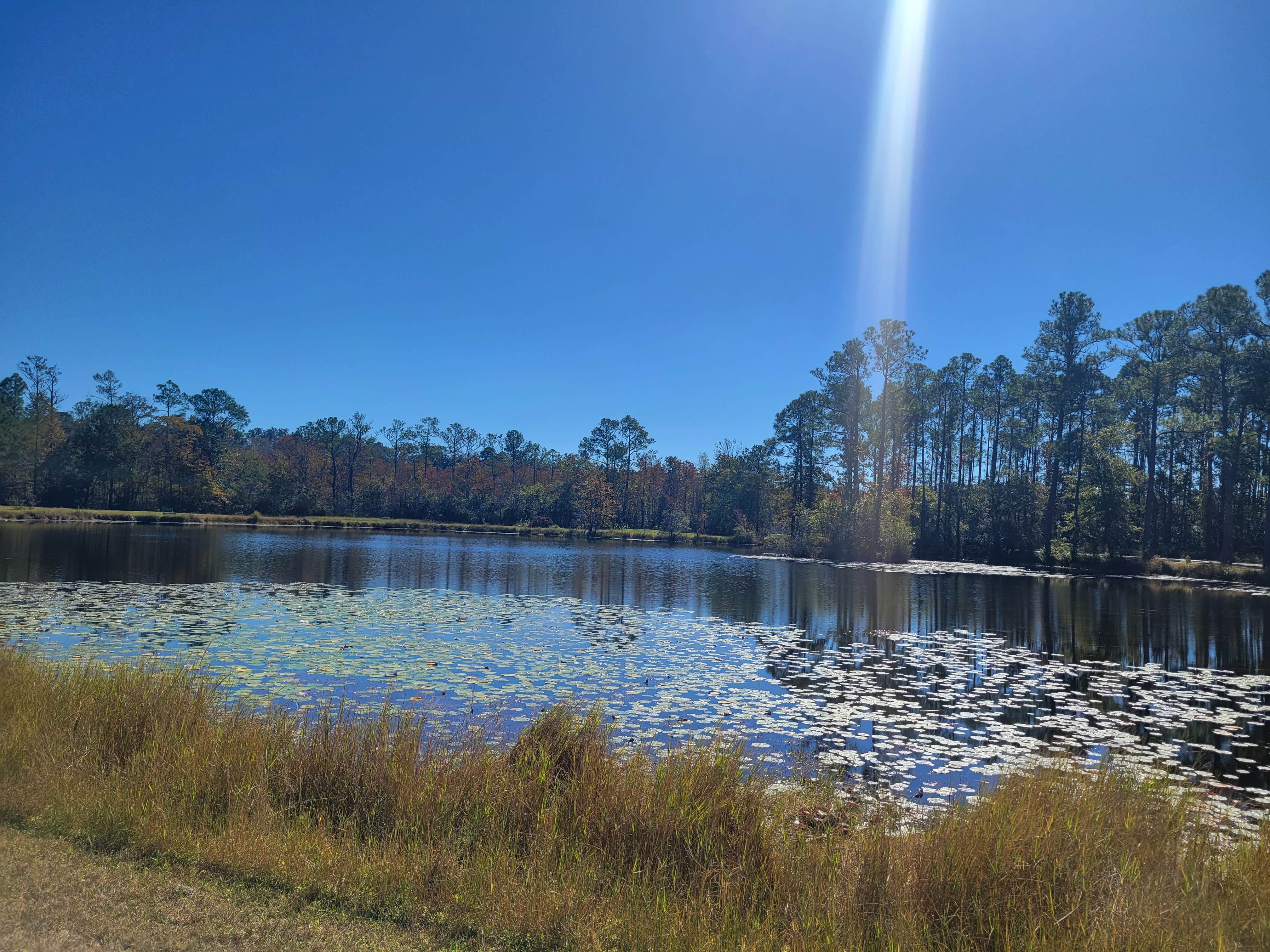 Camper submitted image from Magic River Campground - 1