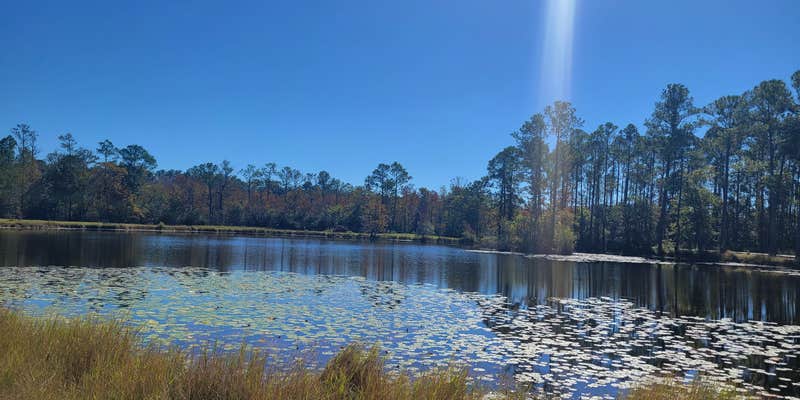 Camper submitted image from Magic River Campground