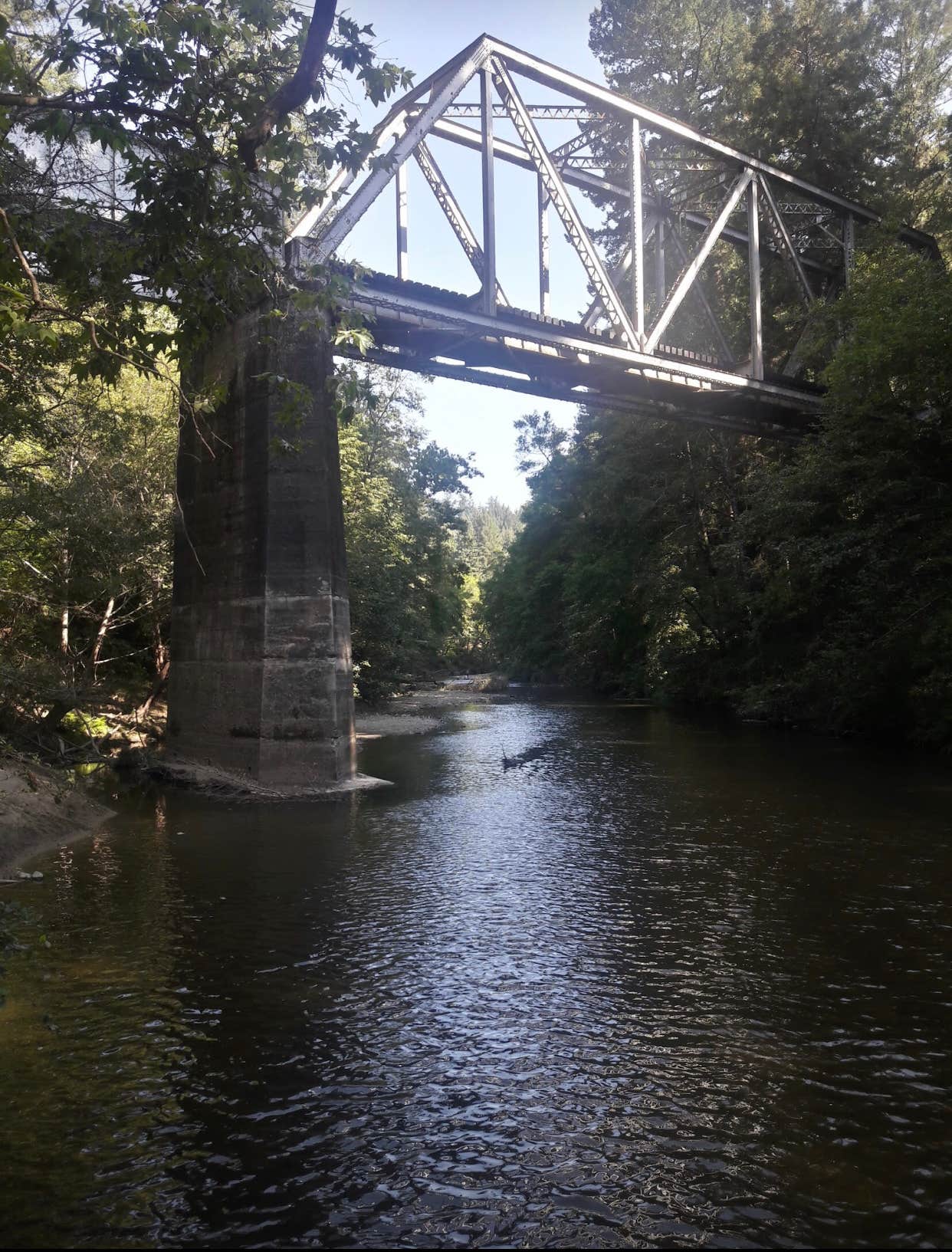 Camper-submitted photo at Cotillion Gardens RV Park near San Lorenzo, CA