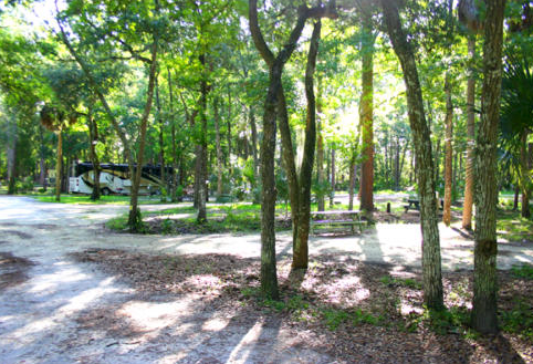 Camper submitted image from Chassahowitzka River Campground - 4