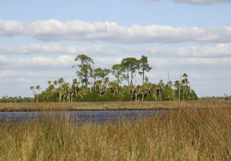 Camper-submitted photo at Chassahowitzka River Campground near Homosassa, FL