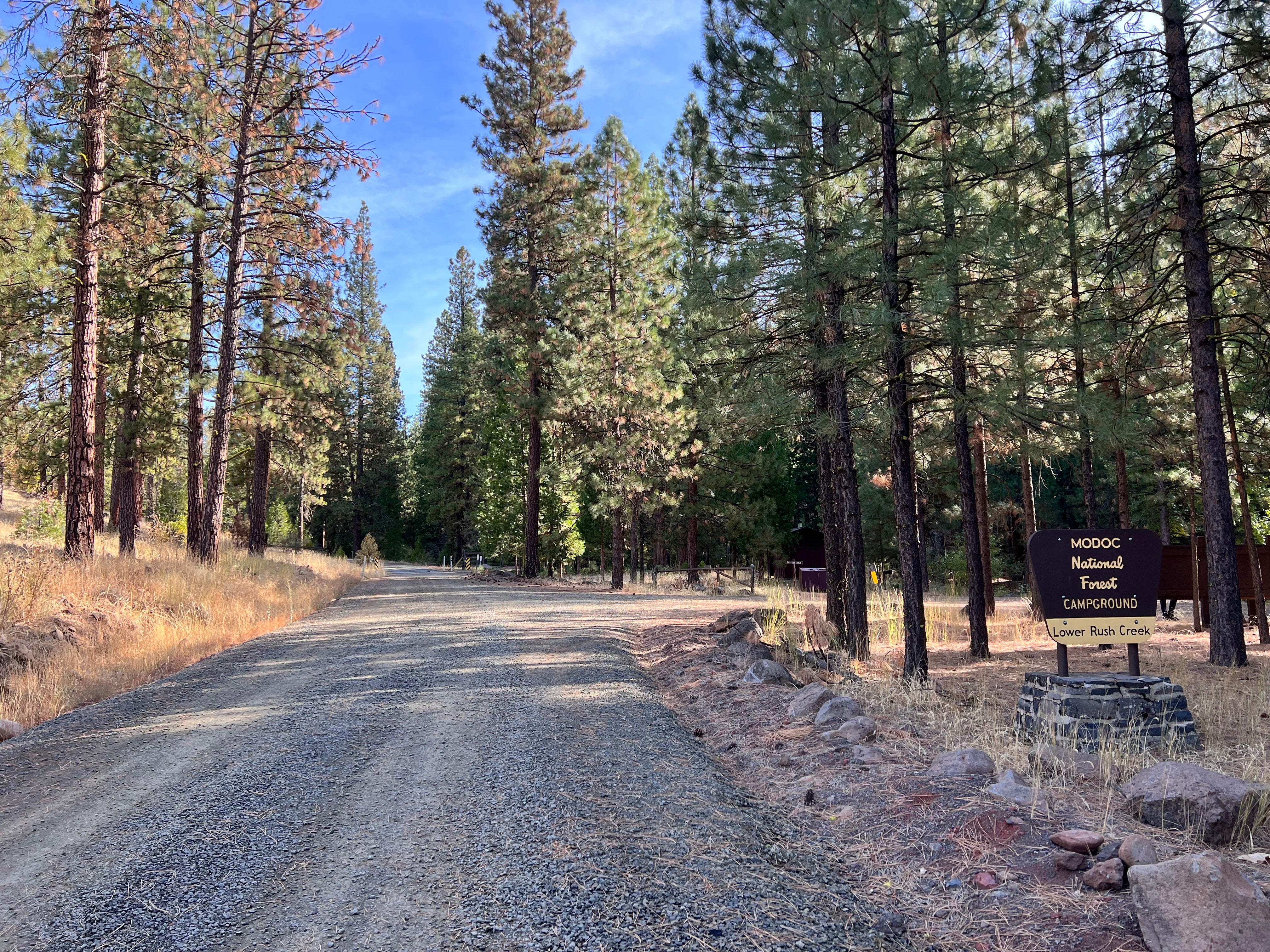 Camper submitted image from Lower Rush Creek Campground - 2