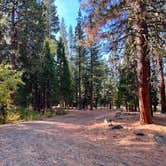 Review photo of Lower Rush Creek Campground by Aliza  N., October 27, 2022