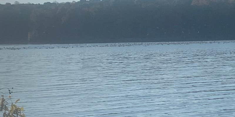 Camper submitted image from Cravens Bay Campground