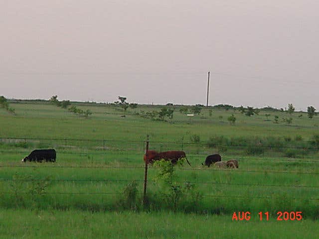Camper-submitted photo at The Pecan Orchard near Stamford, TX