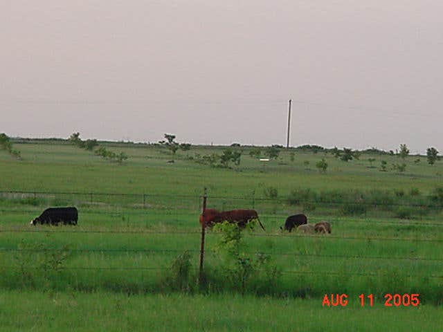 Camper submitted image from The Pecan Orchard - 2