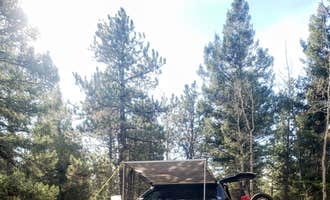 Camping near Treehouse Magic: Dakan Road Dispersed Camping, Larkspur, Colorado